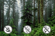 Лагерная сменя "Бережливая экология"